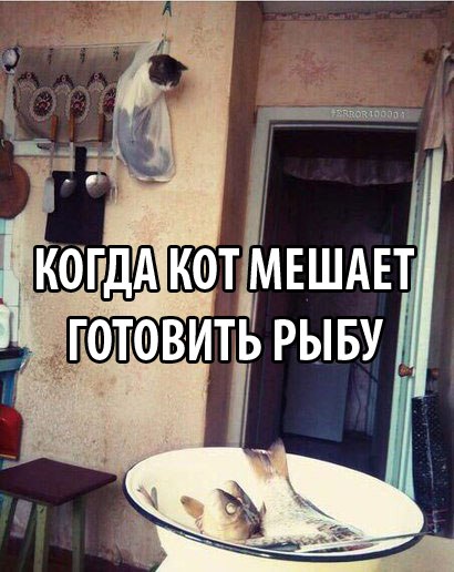 ... - 24  2016  22:46