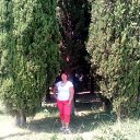 ���� �����, ������������, 55 ��� - ��������� 24 ������� 2016 � ������ ������ ��������