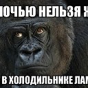 ���� �������, �����-��������� - ��������� 2 ��� 2016 � ������ �������
