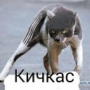 ���� ����, ���������, 46 ��� - ��������� 28 ������� 2016 � ������ ������ ��������