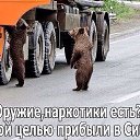 ���� Alekcandr, ������ - ��������� 20 ��� 2016 � ������ ���� ����������