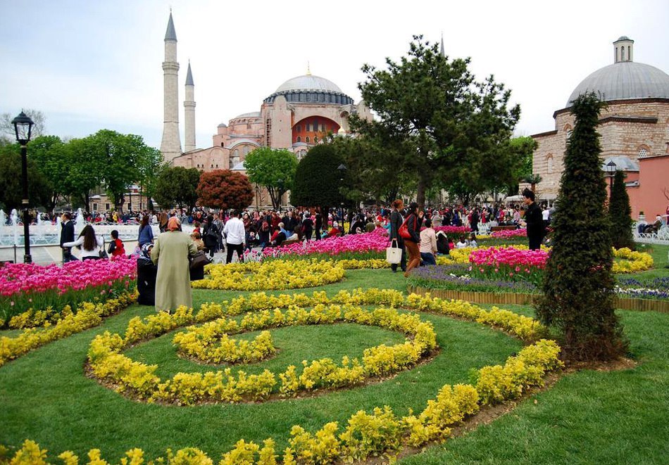 Istanbul festival. Султанахмет фестиваль тюльпанов. Цветение тюльпанов в Турции. Цветение в Стамбуле.