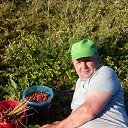 ���� ������, ����������, 62 ���� - ��������� 29 ���� 2016 � ������ ���� ����������