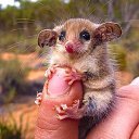 ���� Alehandro, ����������, 53 ���� - ��������� 21 ����� 2016 � ������ ������ ��������