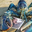 ���� �����, ������ - ��������� 5 ���� 2016 � ������ ���� ����������