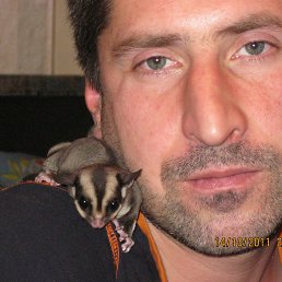 ���� �������, �����, 48 ��� - ��������� 16 ����� 2016