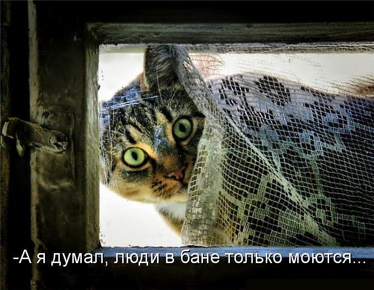   - 10  2016  17:09