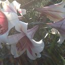 ���� ����, ��������� - ��������� 30 ����� 2016 � ������ �.....�