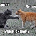 ���� ���� ���� 153, ������, 68 ��� - ��������� 20 ���� 2016 � ������ �������