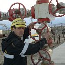 ���� �����, ����������� , 53 ���� - ��������� 14 ����� 2016 � ������ ���� ����������