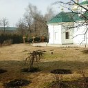   ))  !!!, , 70  -  13  2016     