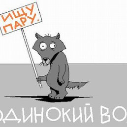 ���� �������, ��������, 36 ��� - ��������� 8 ������ 2016