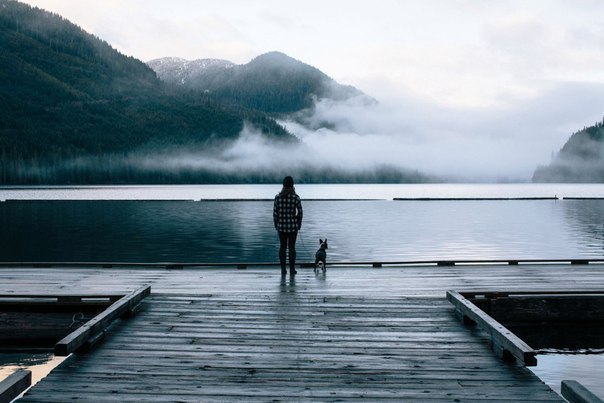 -   - ? - .     -      .  ...