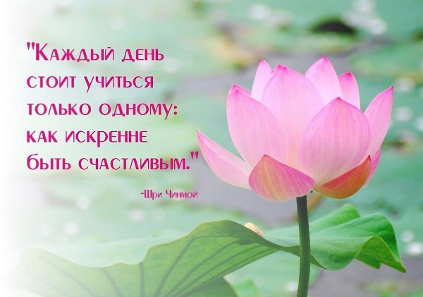  - 2  2016  17:49
