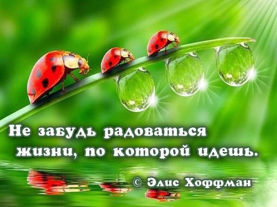 ***Victoria Viktorovna*** - 12  2016  14:55
