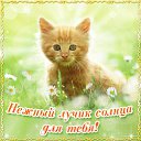 ���� ������, ����, 60 ��� - ��������� 3 ���� 2016 � ������ �������� ��������
