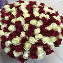 ���� ������, ��������, 52 ���� - ��������� 21 ����� 2016