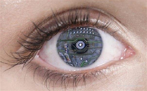 Samsung  ,    .