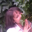 ���� �����, ������ - ��������� 18 ��� 2016 � ������ ���� ����������