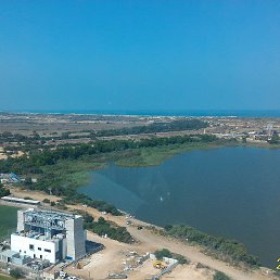���� Dima, ����-����, 36 ��� - ��������� 31 ���� 2016