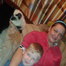 ��������, �����������, 56 ���