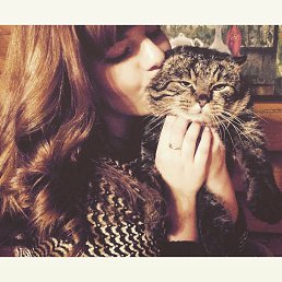 ����, ������, 29 ���