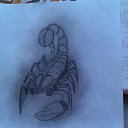 ���� ������, �������, 31 ��� - ��������� 13 ���� 2016 � ������ ���� ����������