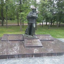 ���� �������, �����������, 37 ��� - ��������� 11 ����� 2016