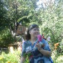 ���� ������� �����������, ���������� ����� - ��������� 13 ������� 2016 � ������ ������ ��������