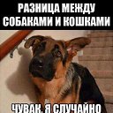 ���� �����, ������ - ��������� 26 ����� 2016 � ������ ������ ��������