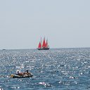 ���� �����, �����������, 51 ��� - ��������� 20 ���� 2016 � ������ ���� ����������