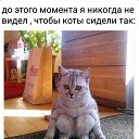 ���� ����, ������� - ��������� 11 ������ 2016 � ������ ��������