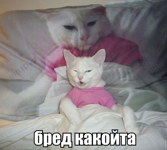   ,   ,    
