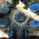 ���� �����, �����-���������, 40 ��� - ��������� 26 ��� 2016 � ������ ���� ����������