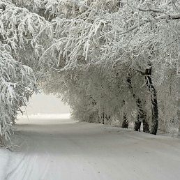 ���� �������, ������, 46 ��� - ��������� 16 ��� 2016