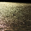 ���� �������, �������, 50 ��� - ��������� 11 ������� 2016 � ������ ���� ����������