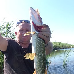 ���� ������, ���������, 54 ���� - ��������� 7 ������� 2016