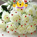 ���� �����, ��������� - ��������� 13 ���� 2016 � ������ ���� ����������