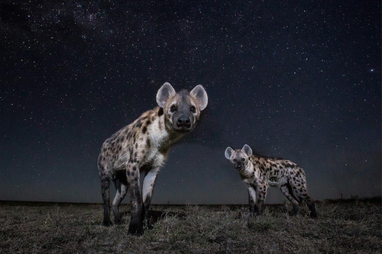 . Will Burrard Lucas - 2