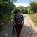 ���� 2016 ��� �� ������� ���� ����������