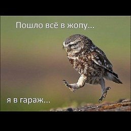 ��������, ��������, 60 ���