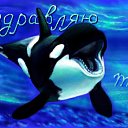 ���� ��������, ������, 62 ���� - ��������� 22 ���� 2016 � ������ ������ ��������