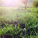 ������� ����!!! �� ������� �iOS Photos�