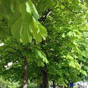 ���� ����, ����������� - ��������� 28 ���� 2016 � ������ ���� ����������