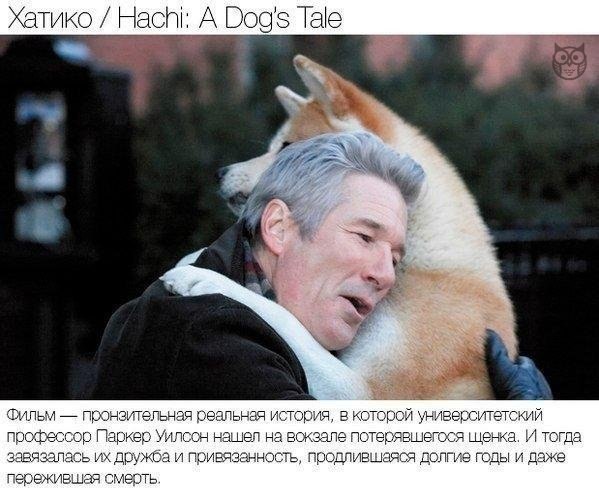 ���-10 ������ �������, ������� �������� ��� ������������ - 10