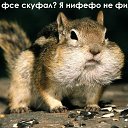 ���� �����, ������, 51 ��� - ��������� 22 ������ 2016 � ������ ������ ��������