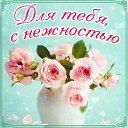 ���� ��������, ������ - ��������� 5 ������ 2016 � ������ �������� ��������