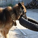 ���� ������, �����������, 69 ��� - ��������� 10 ��� 2016 � ������ ���� ����������