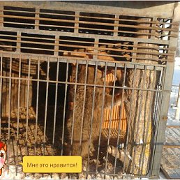 ���� ������, ����� - ��������� 26 ����� 2016