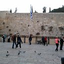 ���� �����, ������, 48 ��� - ��������� 11 ����� 2016 � ������ ���� ����������